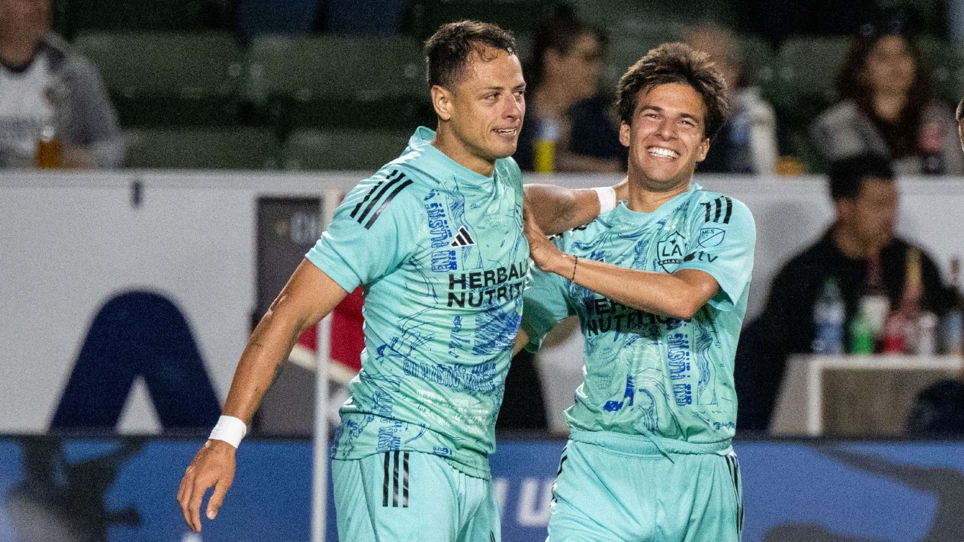 增添了光彩 增添了光彩